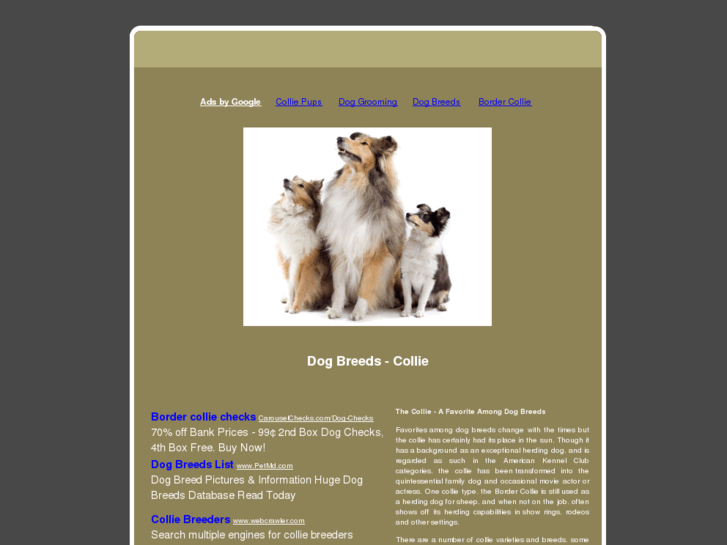 www.dogbreeds-collie.com