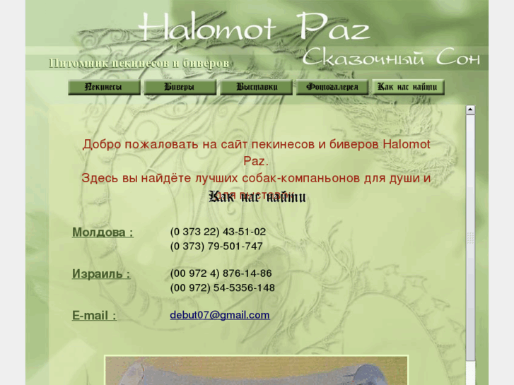 www.halomotpaz.com