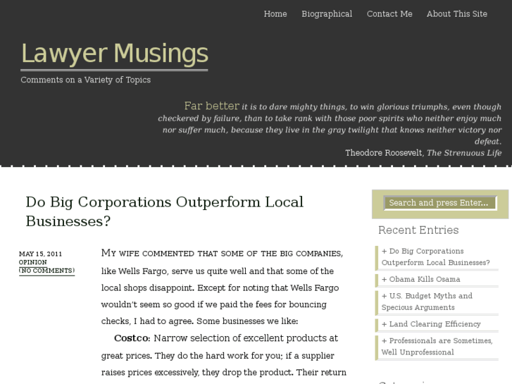 www.lawyermusings.com