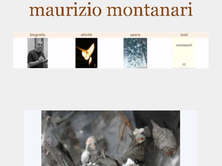 www.mauriziomontanari.org