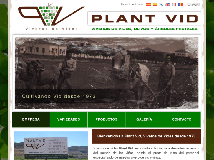 www.plantvid.com