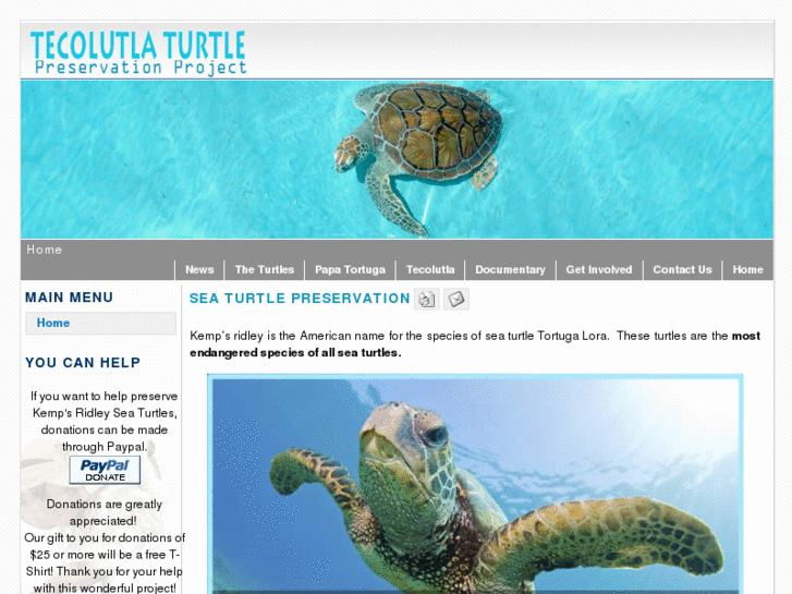 www.saveloraturtles.org