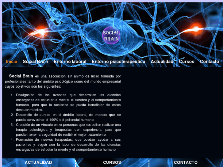 www.socialbrain.es