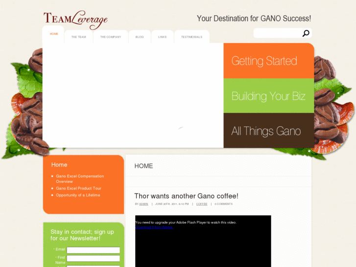 www.teamleverage.net