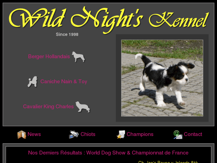 www.wildnightsdog.com