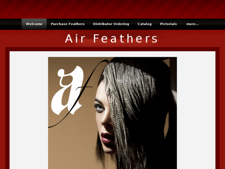 www.airhairextensions.com