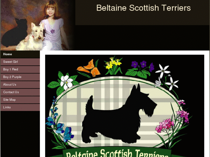 www.beltainescottishterriers.com