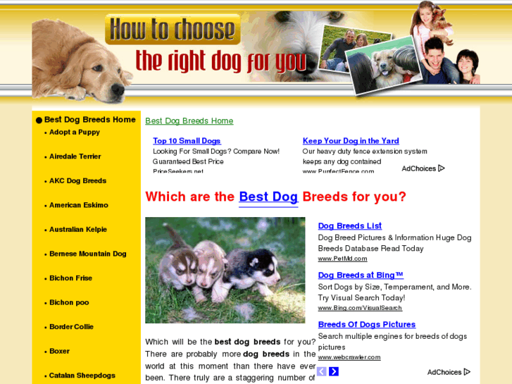 www.best-dog-breed.com