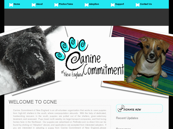www.caninecommit.com