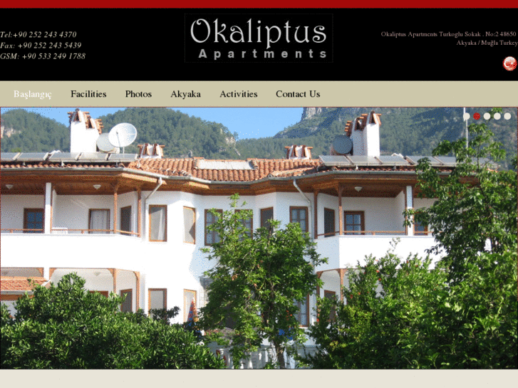 www.okaliptusapart.com