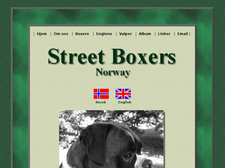 www.streetboxers.com