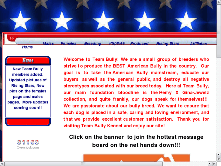 www.teambully.com