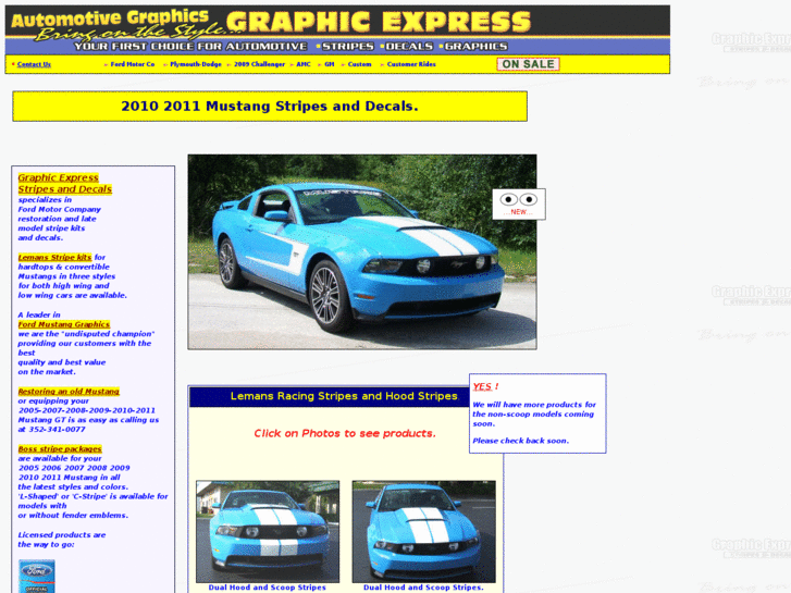 www.2010-mustang-stripes.com