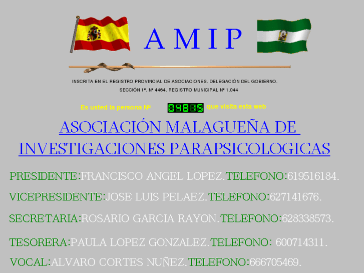 www.amip-malaga.com