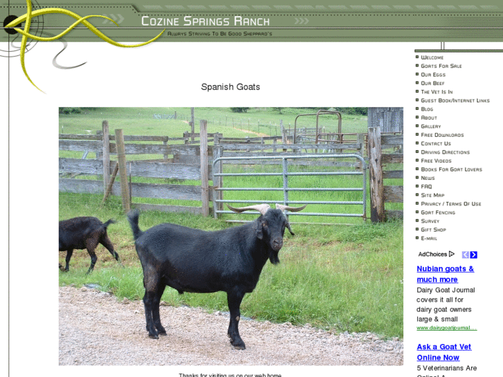 www.cozinespringsranch.com