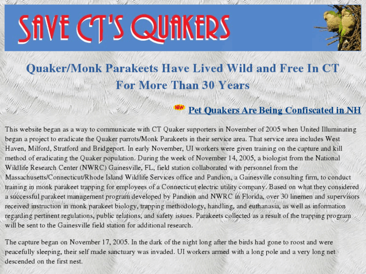 www.ctquakers.com