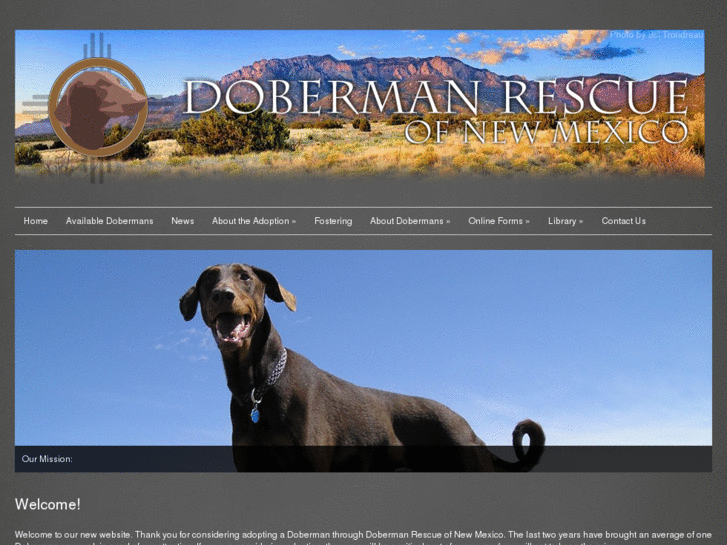 www.dobermanrescuenm.org