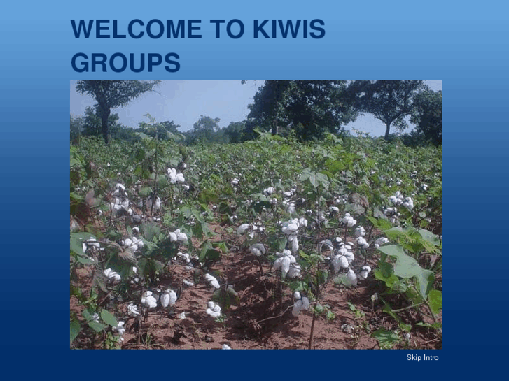 www.kiwisgroups.com