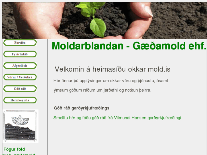 www.mold.is