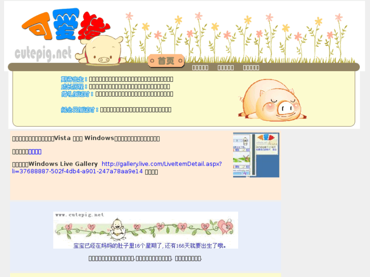 www.softpub.net