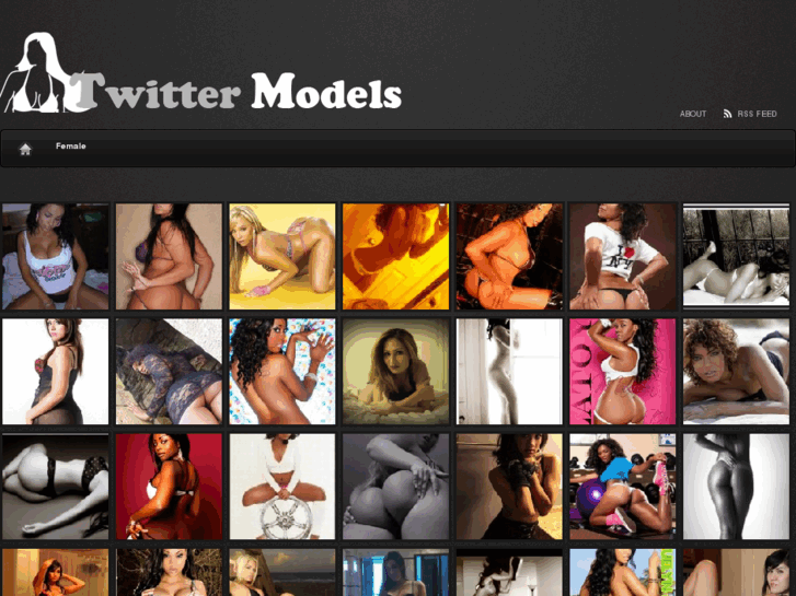 www.twittermodels.com