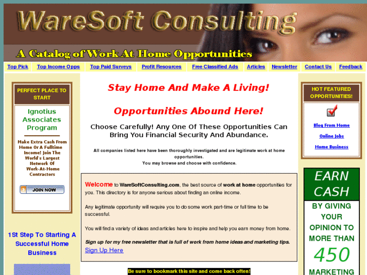 www.waresoftconsulting.com