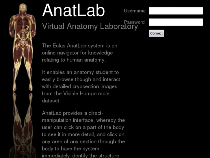 www.anatlab.net