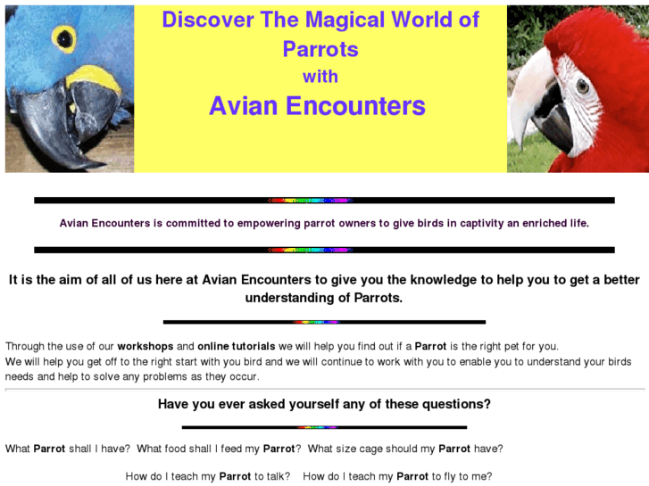 www.avianencounters.com