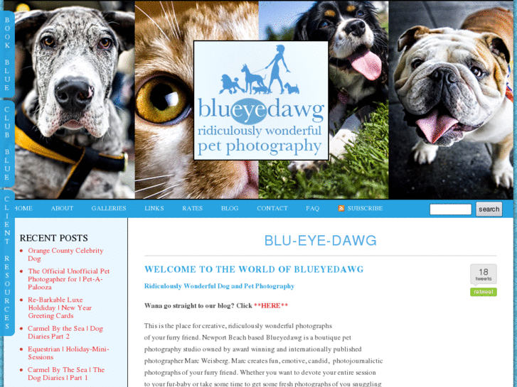 www.blueyedawg.com