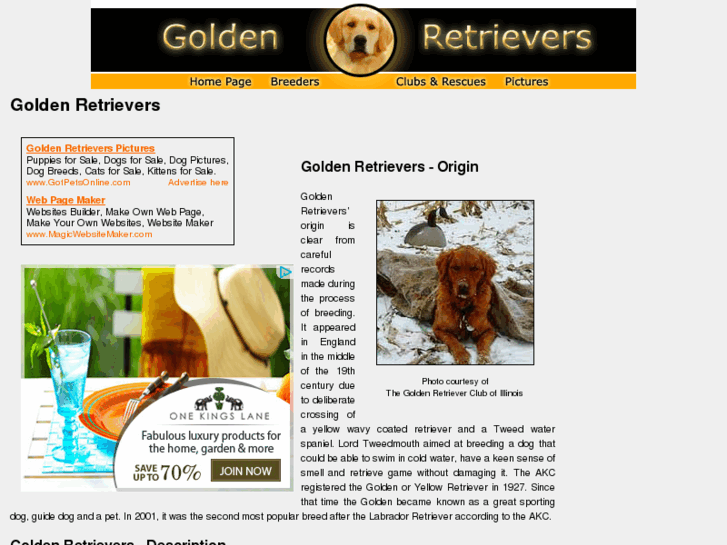 www.golden-retrievers-golden-retrievers.com