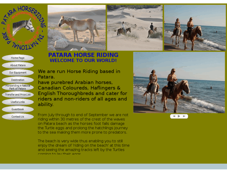 www.patarahorseriding.com