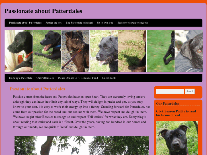 www.patterdaleterrierrescue.co.uk