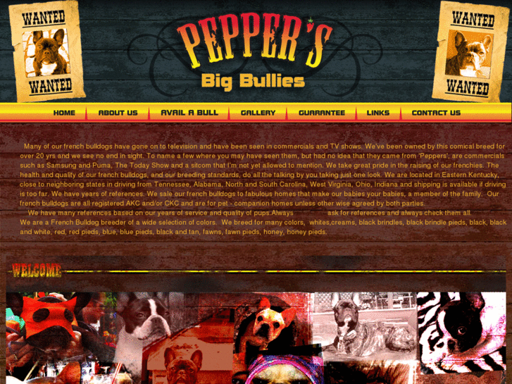 www.peppersbigbullies.net