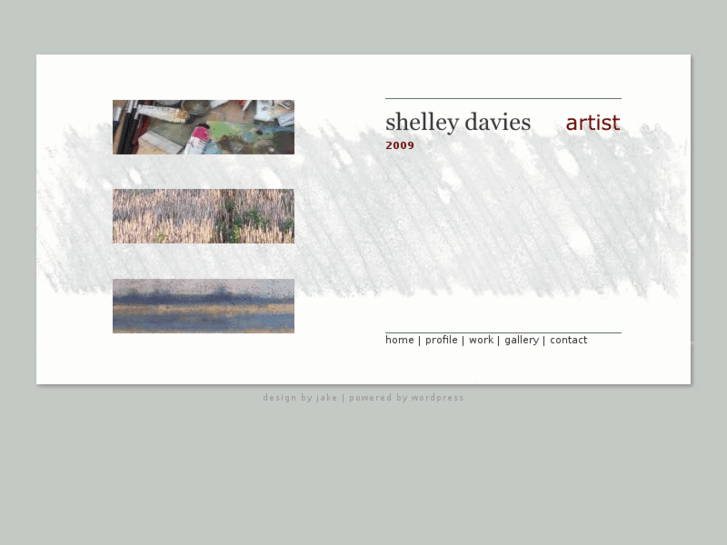 www.shelleydaviesartist.com