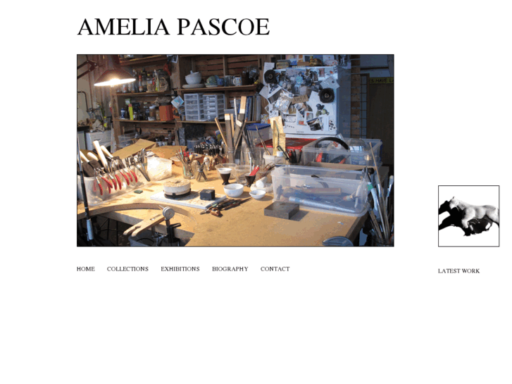 www.ameliapascoe.co.nz