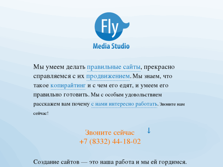 www.flymediastudio.com