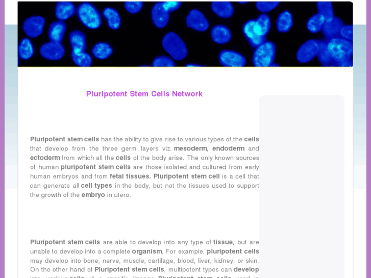 www.pluripotentstemcells.net