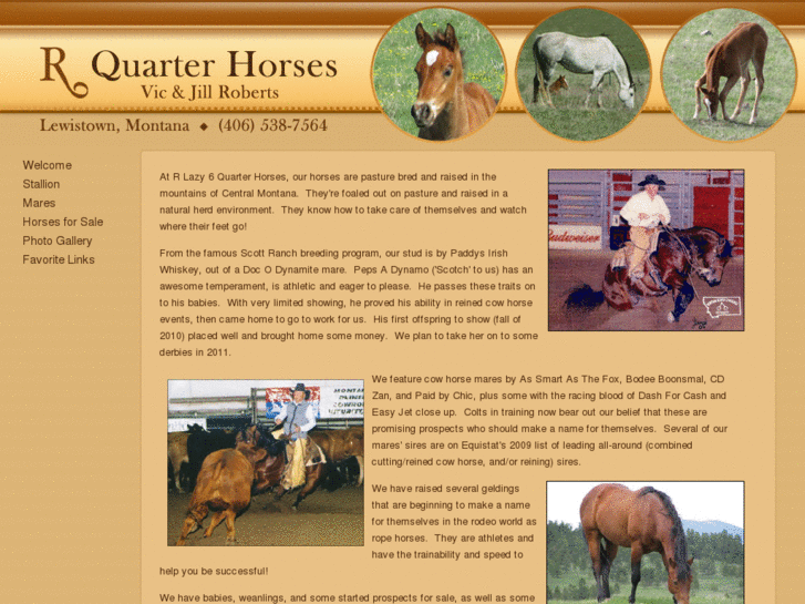 www.rlazy6quarterhorses.com