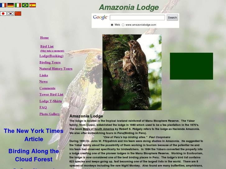 www.amazonialodge.com