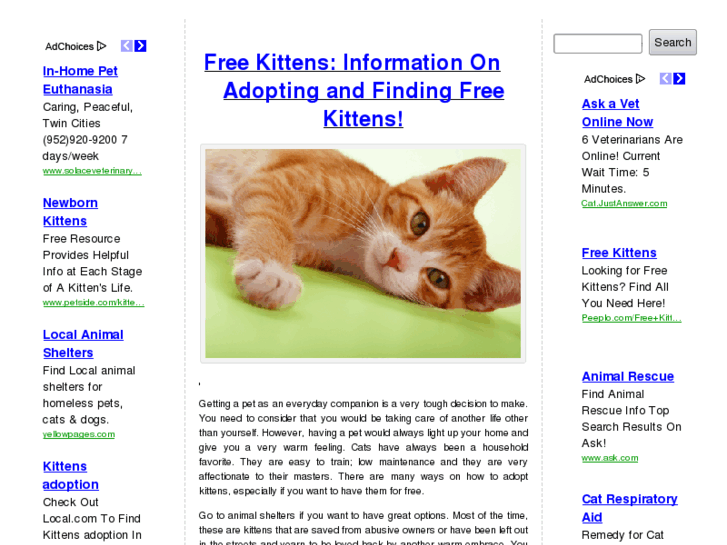 www.free-kittens.com