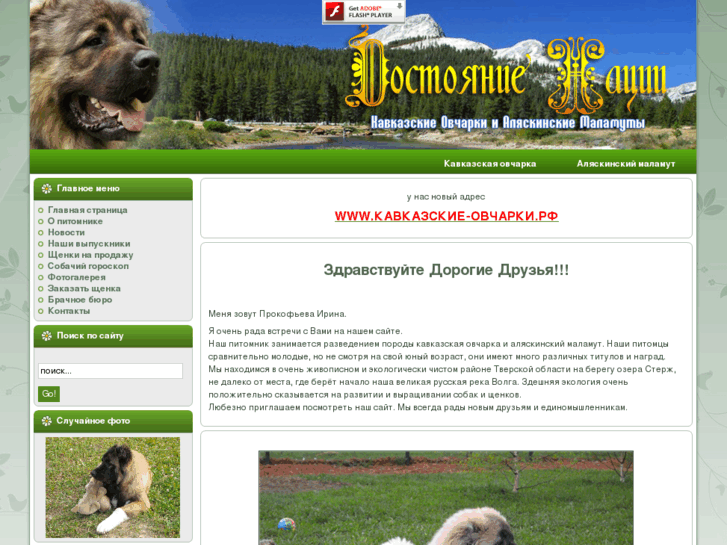 www.kavkazcy.com
