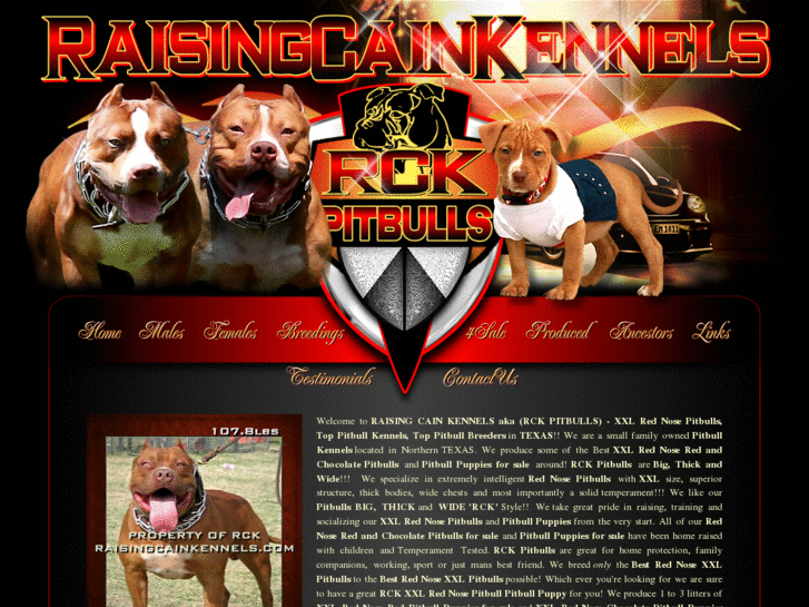 www.rckpitbulls.com