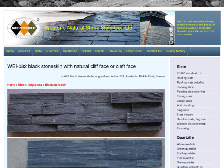 www.stoneskin.org