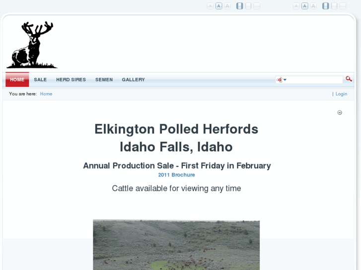 www.elkingtonpolledherefords.com