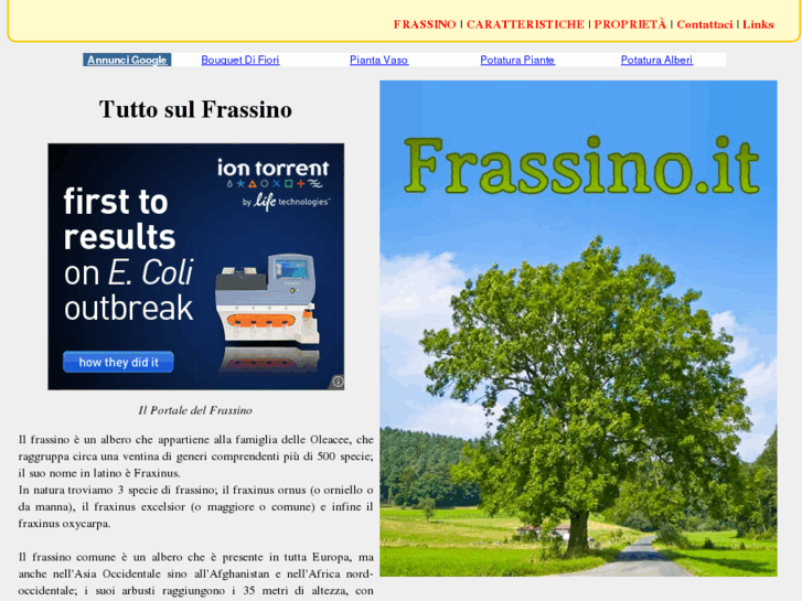 www.frassino.it