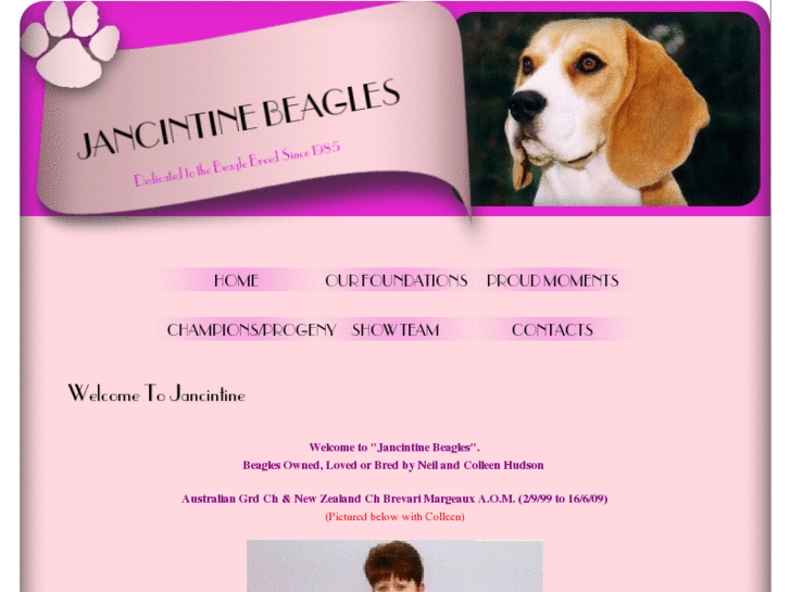 www.jancintinebeagles.com