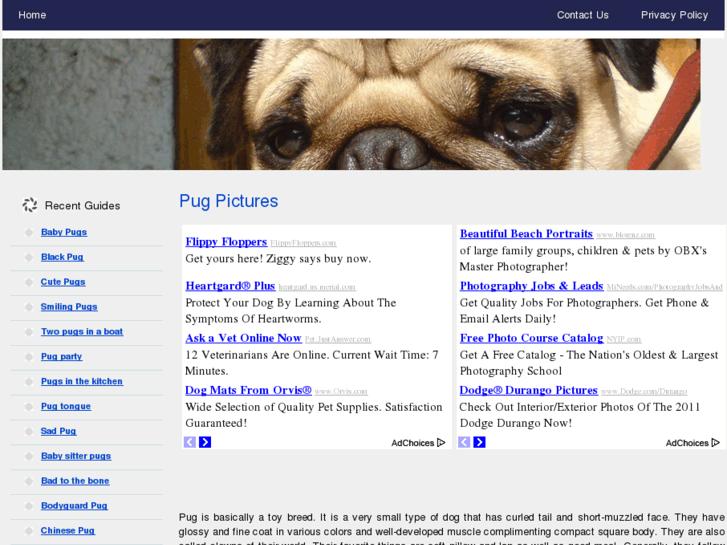 www.pugpictures.org