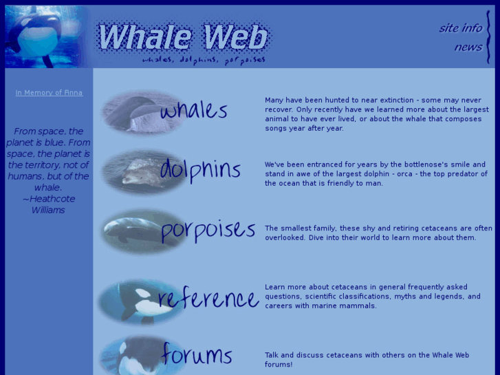 www.whale-web.com