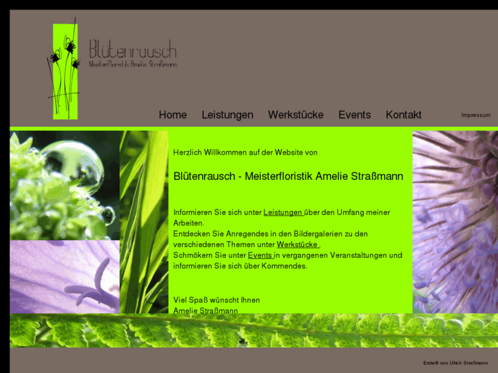 www.xn--bltenrausch-meisterfloristik-26c.com