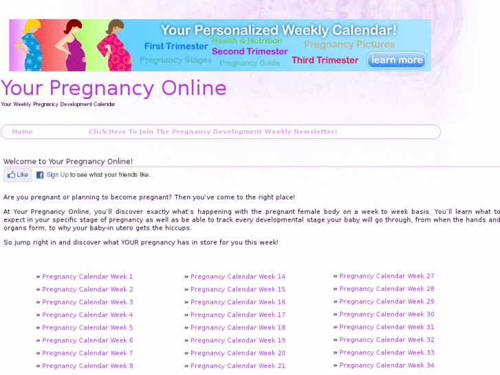 www.yourpregnancyonline.com